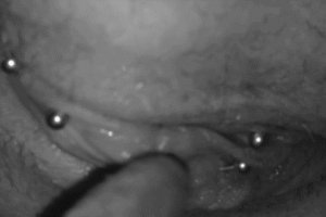 When he is licking my pussy piercing makes me cum